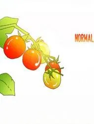 CHERRY TOMATO THUMBNAIL